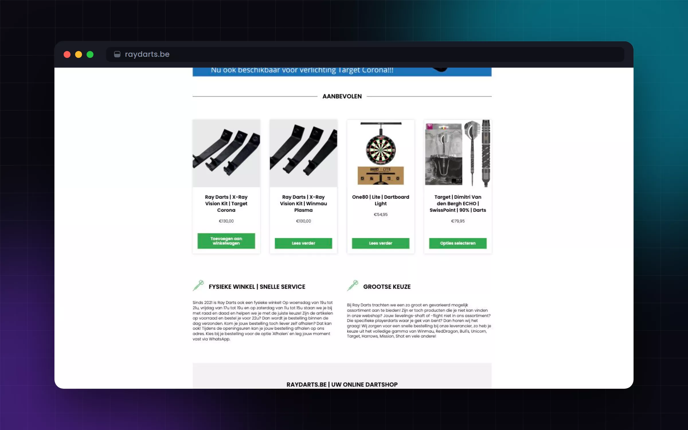 Screenshot van webshop op maat voor dartspecialist (Ray Darts)